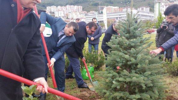 "24 Kasım Öğretmenler Günü Hatıra Ormanı" Fidan Dikim Töreni Yapıldı